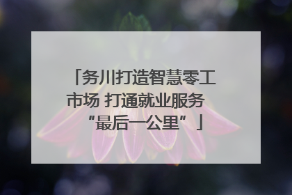 务川打造智慧零工市场 打通就业服务“最后一公里”
