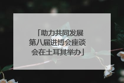 助力共同发展 第八届进博会座谈会在土耳其举办