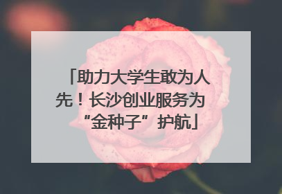 助力大学生敢为人先！长沙创业服务为“金种子”护航
