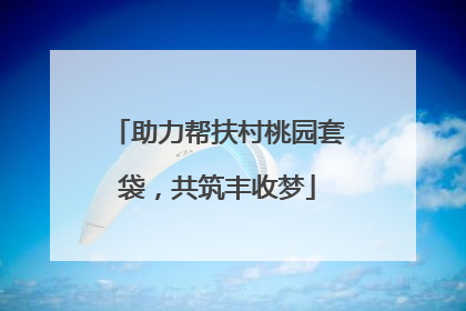 助力帮扶村桃园套袋，共筑丰收梦