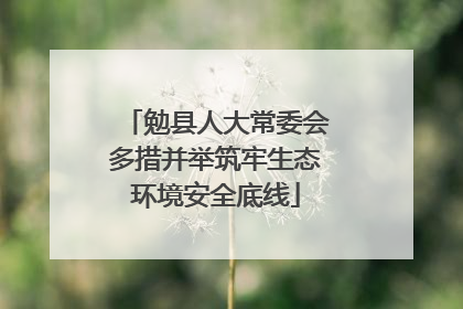 勉县人大常委会多措并举筑牢生态环境安全底线