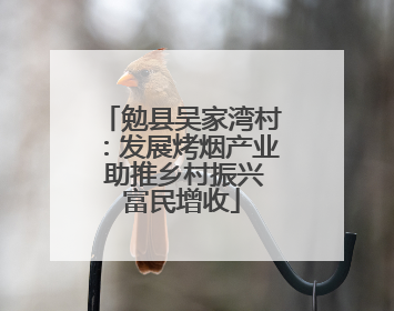 勉县吴家湾村：发展烤烟产业 助推乡村振兴富民增收