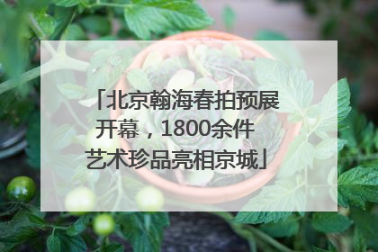北京翰海春拍预展开幕，1800余件艺术珍品亮相京城