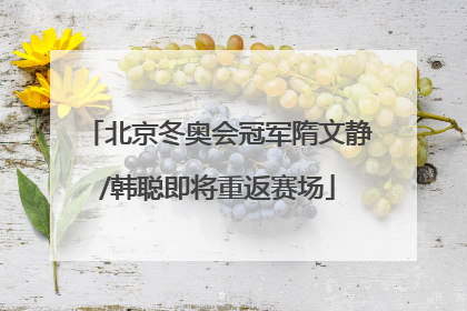 北京冬奥会冠军隋文静/韩聪即将重返赛场