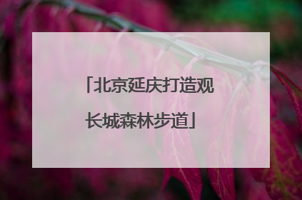 北京延庆打造观长城森林步道