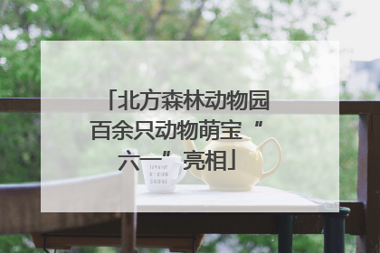 北方森林动物园百余只动物萌宝“六一”亮相