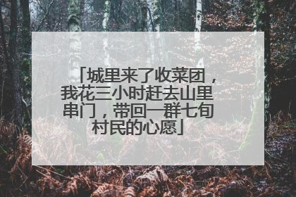 城里来了收菜团，我花三小时赶去山里串门，带回一群七旬村民的心愿