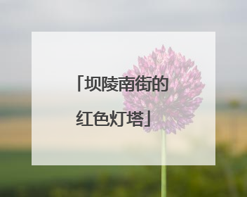 坝陵南街的红色灯塔
