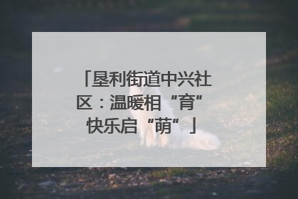 垦利街道中兴社区：温暖相“育” 快乐启“萌”