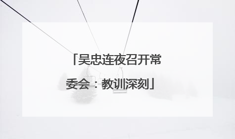 吴忠连夜召开常委会：教训深刻
