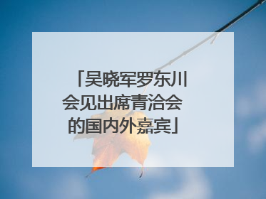 吴晓军罗东川会见出席青洽会的国内外嘉宾