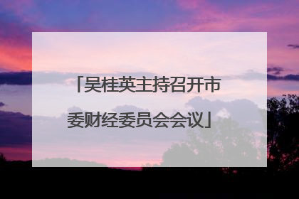 吴桂英主持召开市委财经委员会会议
