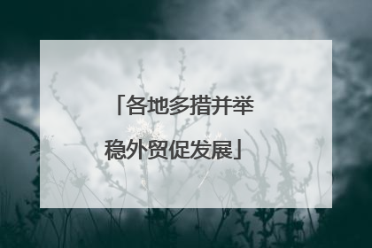 各地多措并举稳外贸促发展