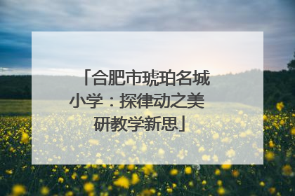 合肥市琥珀名城小学：探律动之美 研教学新思