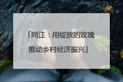 同江：用绽放的玫瑰 推动乡村经济振兴
