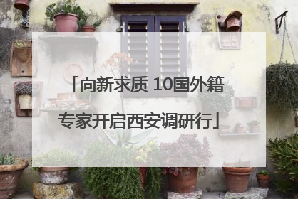 向新求质 10国外籍专家开启西安调研行
