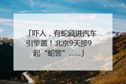 吓人，有蛇藏进汽车引擎盖！北京9天接9起“蛇警”……