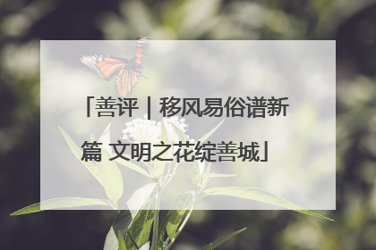 善评｜移风易俗谱新篇 文明之花绽善城