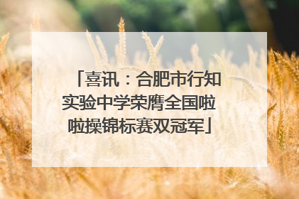 喜讯：合肥市行知实验中学荣膺全国啦啦操锦标赛双冠军