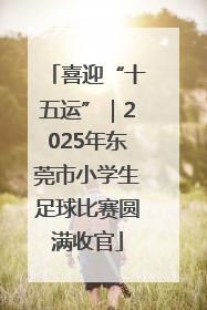 喜迎“十五运”｜2025年东莞市小学生足球比赛圆满收官