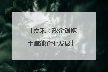 嘉禾：政企银携手赋能企业发展