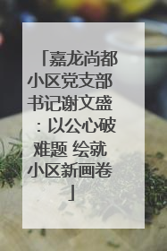 嘉龙尚都小区党支部书记谢文盛：以公心破难题 绘就小区新画卷