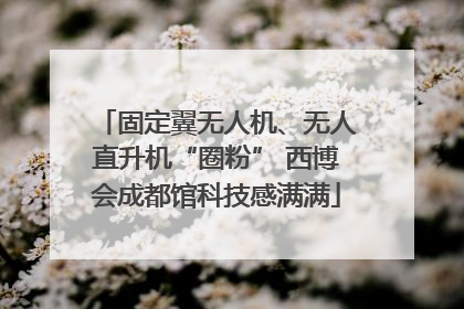 固定翼无人机、无人直升机“圈粉” 西博会成都馆科技感满满