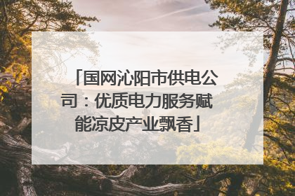 国网沁阳市供电公司：优质电力服务赋能凉皮产业飘香