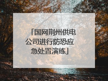 国网荆州供电公司进行防恐应急处置演练