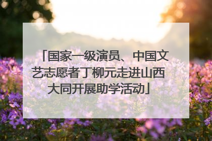 国家一级演员、中国文艺志愿者丁柳元走进山西大同开展助学活动