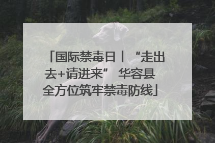 国际禁毒日丨“走出去+请进来” 华容县全方位筑牢禁毒防线