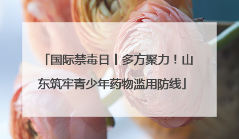 国际禁毒日丨多方聚力！山东筑牢青少年药物滥用防线
