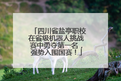 四川省盐亭职校在省级机器人挑战赛中勇夺第一名，强势入围国赛！