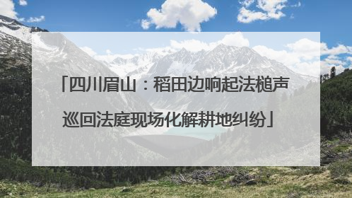 四川眉山：稻田边响起法槌声 巡回法庭现场化解耕地纠纷