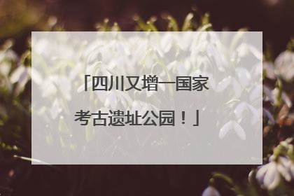 四川又增一国家考古遗址公园！