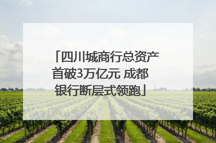 四川城商行总资产首破3万亿元 成都银行断层式领跑