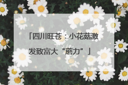 四川旺苍：小花菇激发致富大“蘑力”