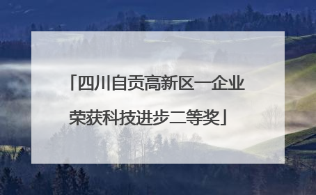 四川自贡高新区一企业荣获科技进步二等奖