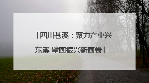 四川苍溪：聚力产业兴东溪 擘画振兴新画卷