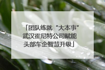 团队练就“大本事” 武汉霍尼特公司赋能头部车企智慧升级