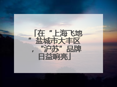 在“上海飞地”盐城市大丰区，“沪苏”品牌日益响亮