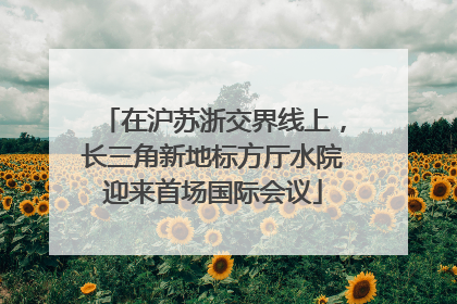 在沪苏浙交界线上，长三角新地标方厅水院迎来首场国际会议