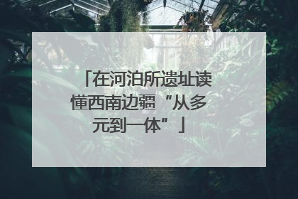 在河泊所遗址读懂西南边疆“从多元到一体”