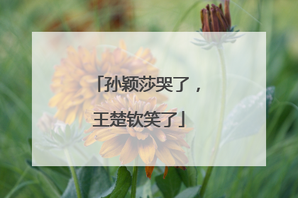 孙颖莎哭了，王楚钦笑了