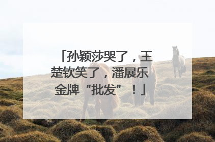 孙颖莎哭了，王楚钦笑了，潘展乐金牌“批发”！