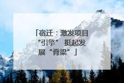 宿迁：激发项目“引擎” 挺起发展“脊梁”