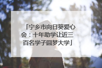 宁乡市向日葵爱心会：十年助学让近三百名学子圆梦大学