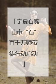宁夏石嘴山市“石”百千万师带徒行动启动