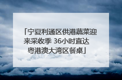 宁夏利通区供港蔬菜迎来采收季 36小时直达粤港澳大湾区餐桌