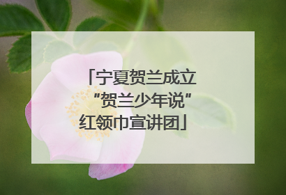 宁夏贺兰成立“贺兰少年说”红领巾宣讲团
